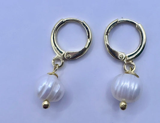 Aros argolla y perla de rio